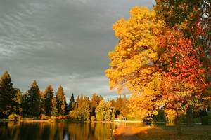 travel nursing in oregon autumn