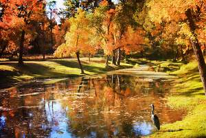 travel nursing in nebraska autumn